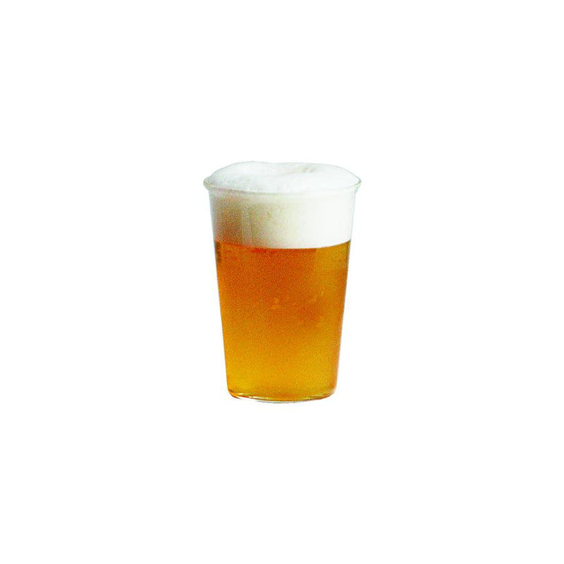 KINTO Beer Cast Glass 430 ml. (14.5 oz.)
