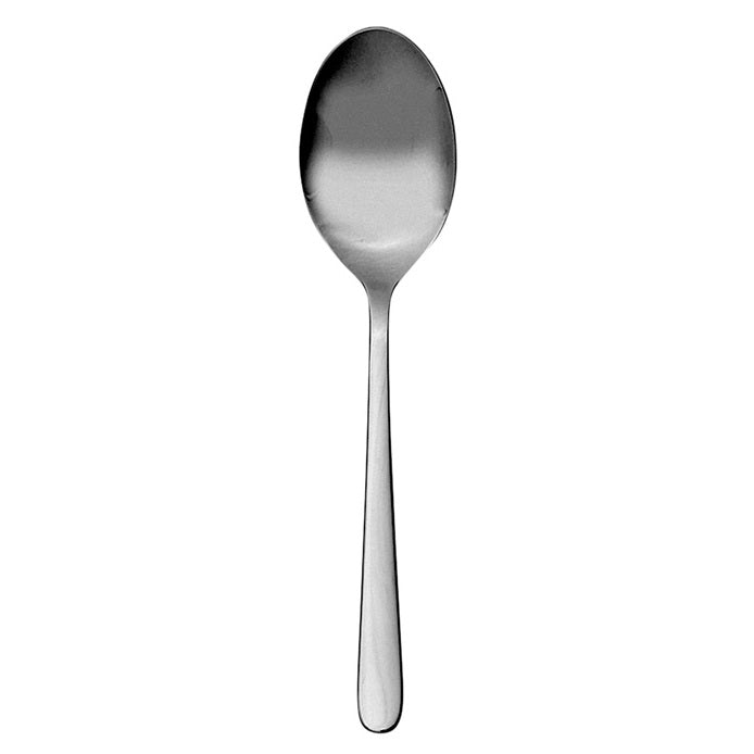 Eco Serving Spoon 24cm